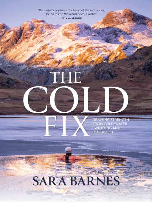 Title details for The Cold Fix by Sara Barnes - Available